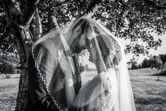 Juliette Laure Photographie - 4