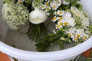Atelier Rose Pivoine - 16