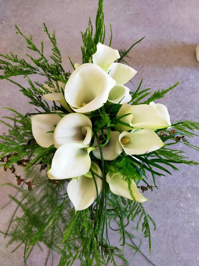 Des Fleurs aux Images - 2