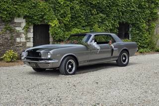 Mustang 66 - 8