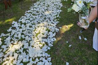 Secret Garden - 6