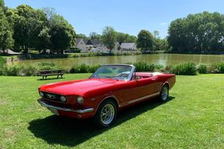 Love Car by Domaine de Cussy - 26