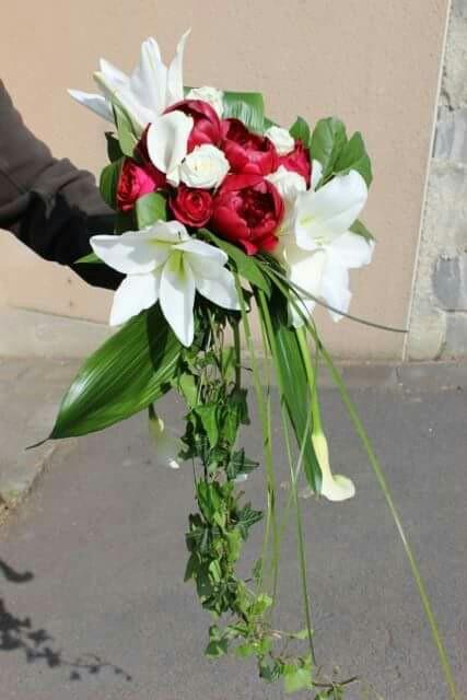 Magnificence - 2
