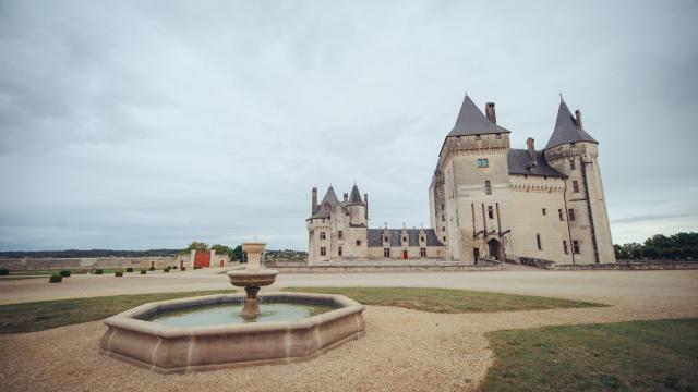 Château du Coudray Montpensier - 3