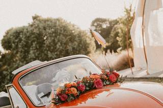 Le Cocon Végétal - 5