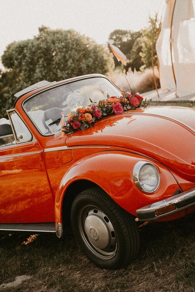 Le Cocon Végétal - 2