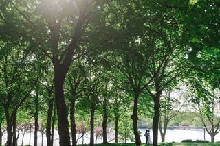 Le Plus Beau Jour - 4