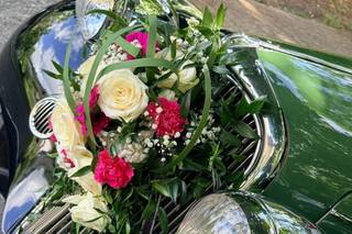 Pleione design floral - 5