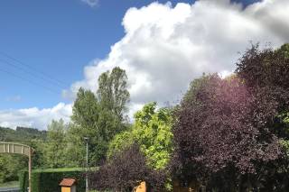 Le Catalpa - 11