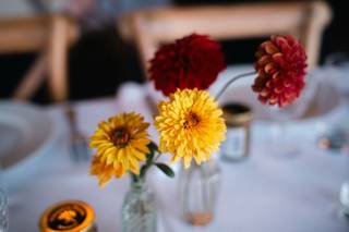 Freya Joy Garden Flowers - 7