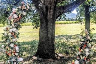 Domaine de Sigalous - 6
