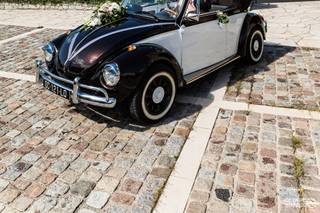 Wedding Cox - 6