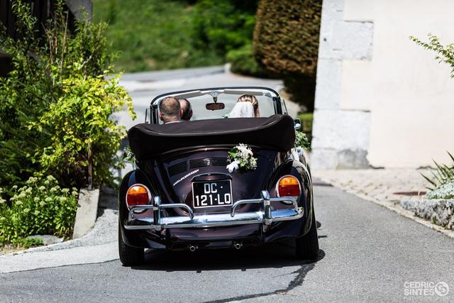 Wedding Cox - 4