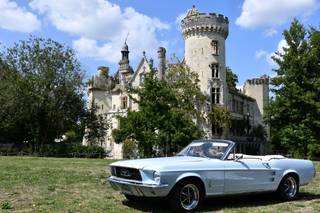 Nostal Car - 20