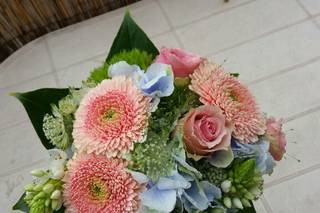 Fleur de Thé - 1