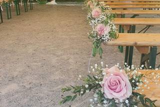 Nature Sauvage - 7