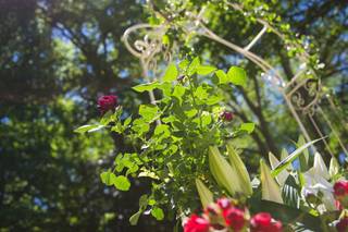 Simple Stories - 29