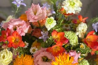 Bois Fleuri - 16
