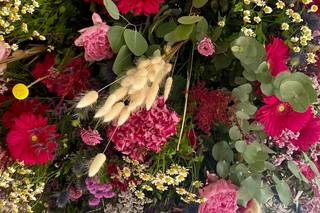 Coton et Coquelicot - 19