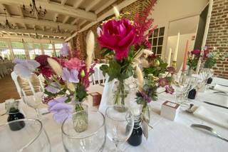 Coton et Coquelicot - 20