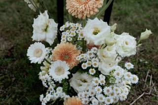 La petite prairie - 13