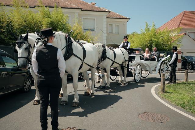 Les Calèches de Versailles - 4