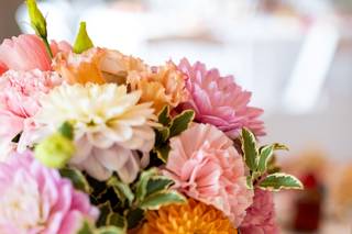 Eden Fleurs - 6