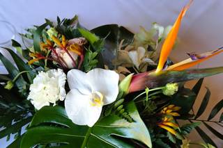 Fleurs Bertrand Delatronchette - 6