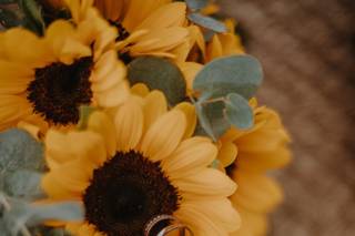Julie Gareni Photographies - 10