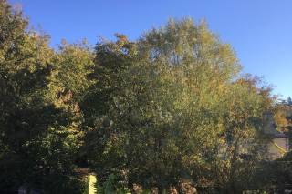 Le manoir du moulin - 15