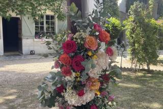 Le Jardin de Cécile - 7