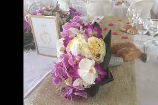 Moments d'émotion - 11