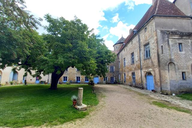 Château de Manonville - 4
