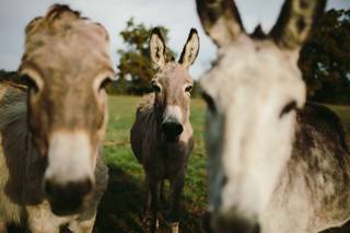 Domaine de Badine - 9