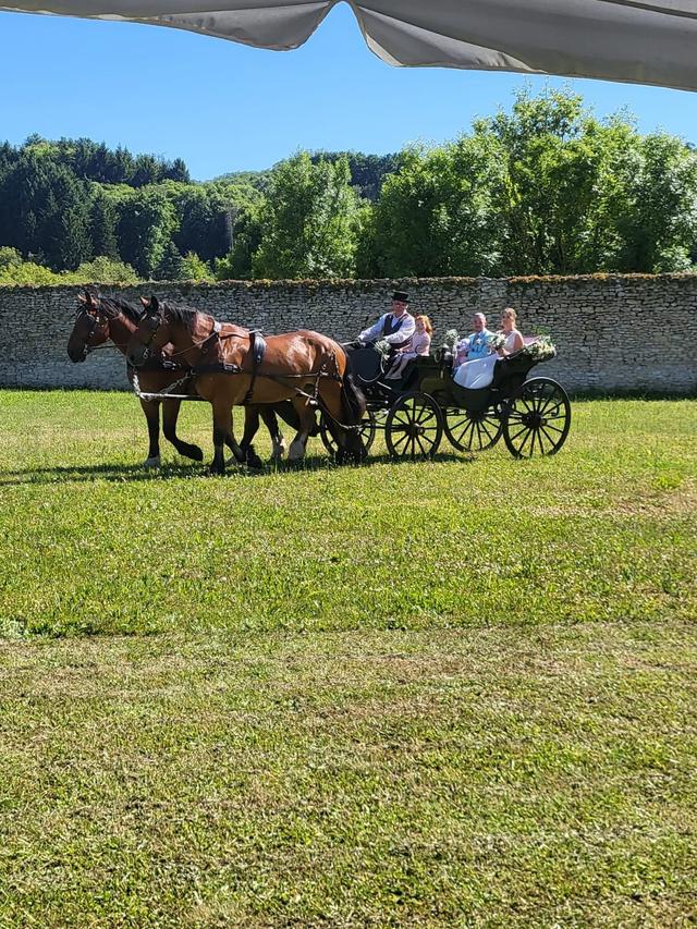 Les Attelages de la Bièvre - 3