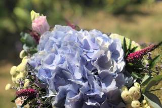 Les Fleurs de Riton - 18