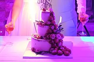 Fantastiks Cakes - 9