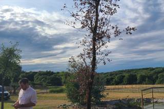 Le Clos des Castagnes - 11