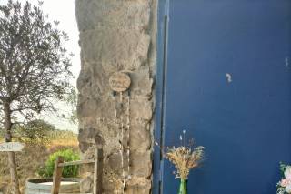 Domaine Saint Augustin - 10