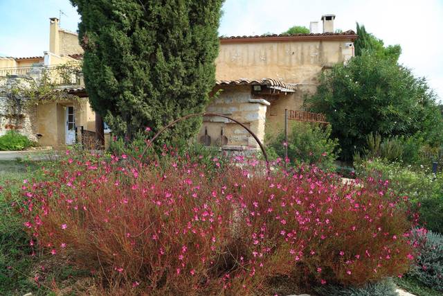 Domaine Le Grand Belly 4