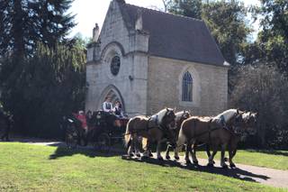 Les Attelages Du Val D'Amour - 10
