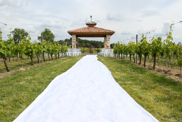Domaine Carcenac 4