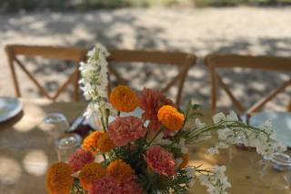 Gaia Studio Floral - 5