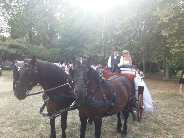 Association Attelage Salleloise - 1