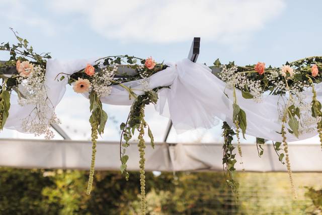 Pivoines Et Graminées 2