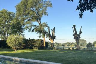 Domaine Arbaud - 10