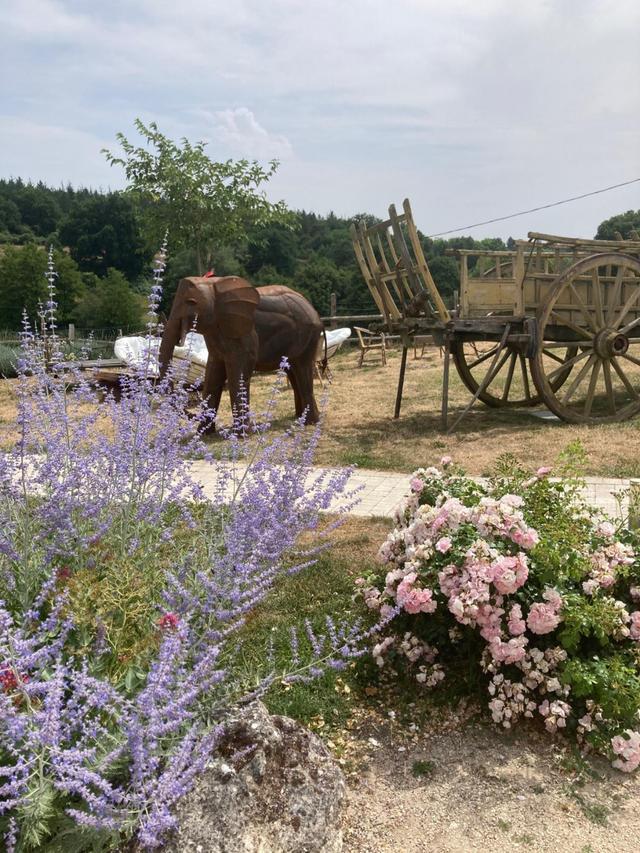 Domaine de Badard - 2