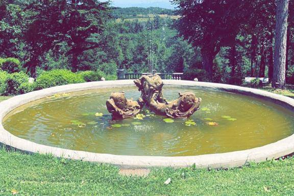 Château Chavagnac 5