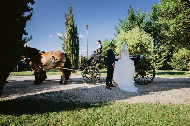 Les Attelages du Vidourle - 3