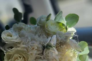 Couleur Pivoine - 5